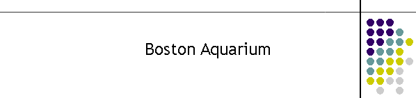 Boston Aquarium