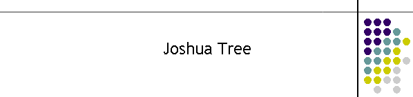 Joshua Tree