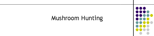 Mushroom Hunting