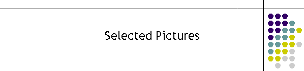 Selected Pictures